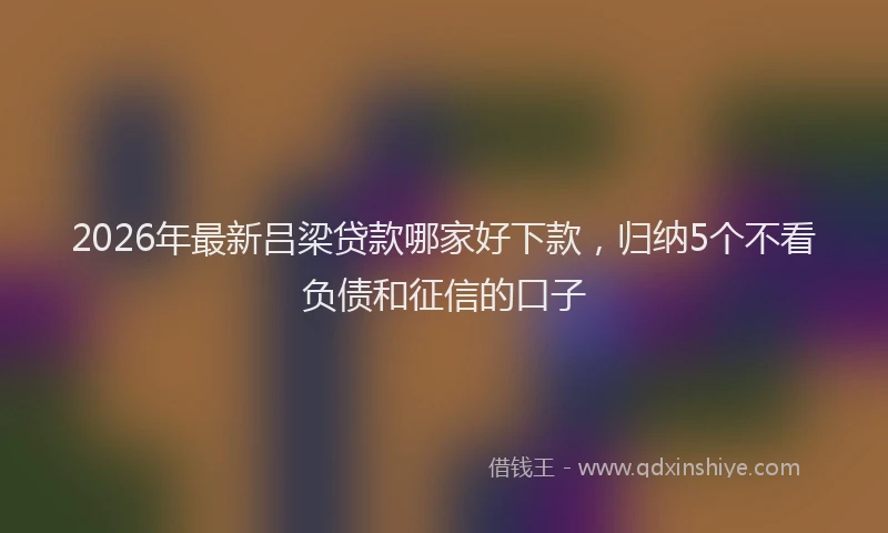 2026年最新吕梁贷款哪家好下款，归纳5个不看负债和征信的口子