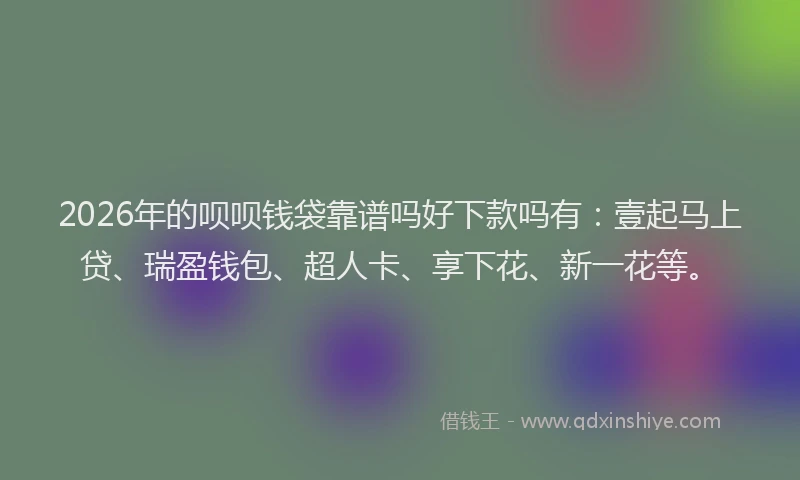 2026年的呗呗钱袋靠谱吗好下款吗有：壹起马上贷、瑞盈钱包、超人卡、享下花、新一花等。
