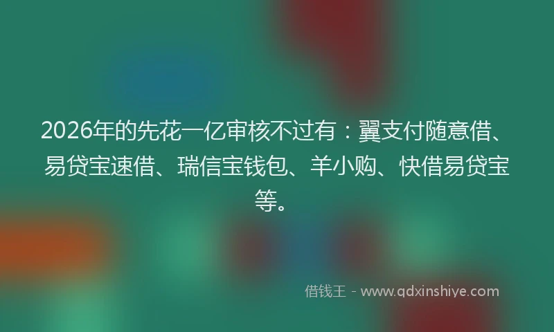 2026年的先花一亿审核不过有：翼支付随意借、易贷宝速借、瑞信宝钱包、羊小购、快借易贷宝等。