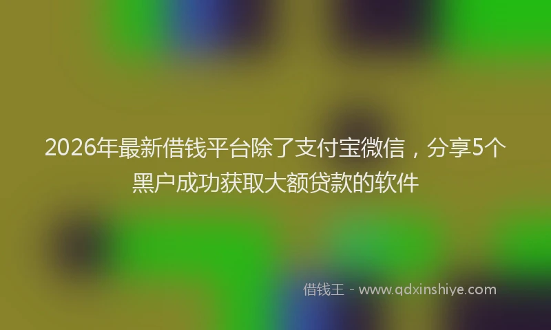 2026年最新借钱平台除了支付宝微信，分享5个黑户成功获取大额贷款的软件
