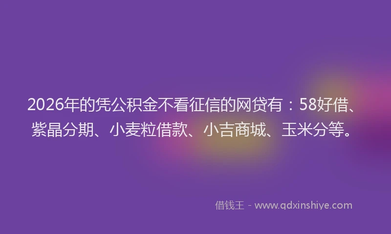 2026年的凭公积金不看征信的网贷有：58好借、紫晶分期、小麦粒借款、小吉商城、玉米分等。