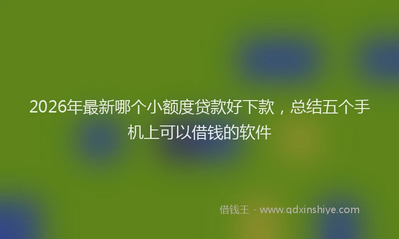 2026年最新哪个小额度贷款好下款,总结五个手机上可以借钱的软件