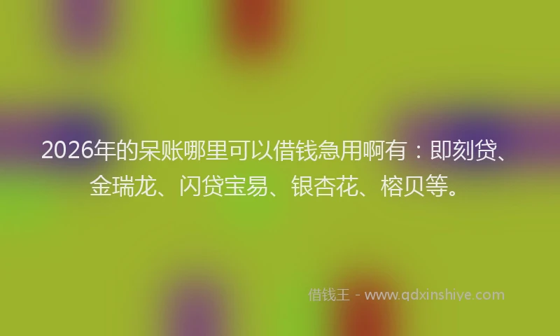 2026年的呆账哪里可以借钱急用啊有：即刻贷、金瑞龙、闪贷宝易、银杏花、榕贝等。