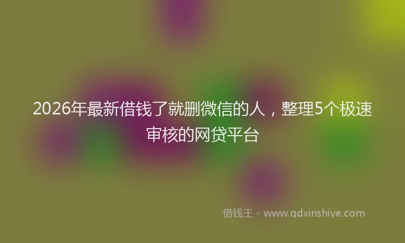 2026年最新借钱了就删微信的人，整理5个极速审核的网贷平台