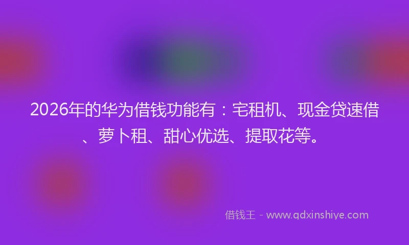 2026年的华为借钱功能有:宅租机、现金贷速借、萝卜租、甜心优选、提取花等。