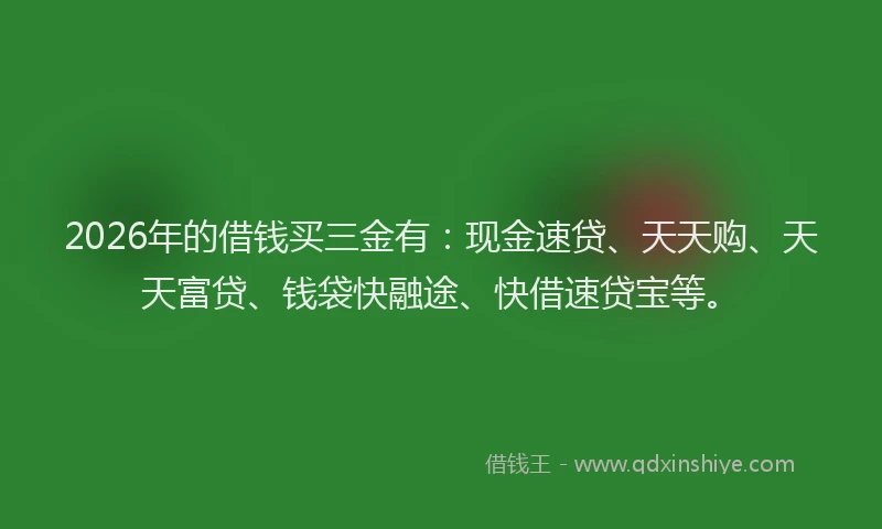 2026年的借钱买三金有:现金速贷、天天购、天天富贷、钱袋快融途、快借速贷宝等。