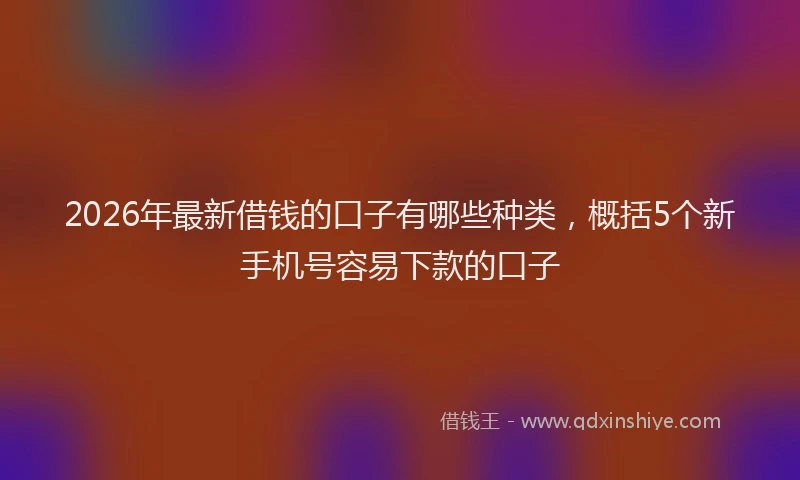 2026年最新借钱的口子有哪些种类，概括5个新手机号容易下款的口子