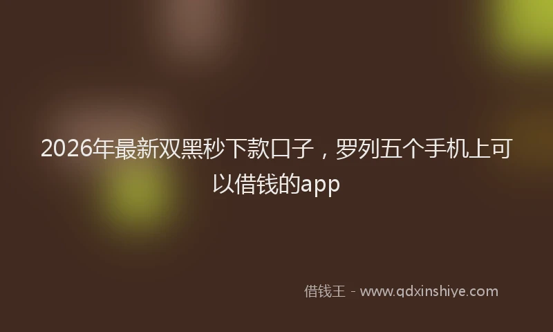 2026年最新双黑秒下款口子，罗列五个手机上可以借钱的app