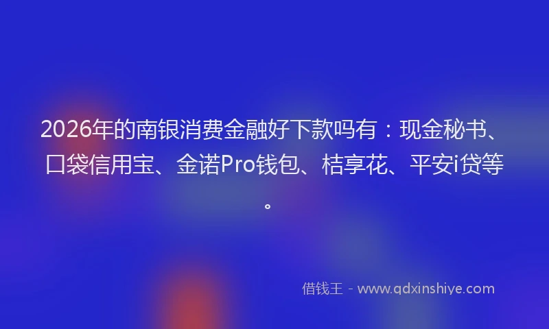 2026年的南银消费金融好下款吗有：现金秘书、口袋信用宝、金诺Pro钱包、桔享花、平安i贷等。