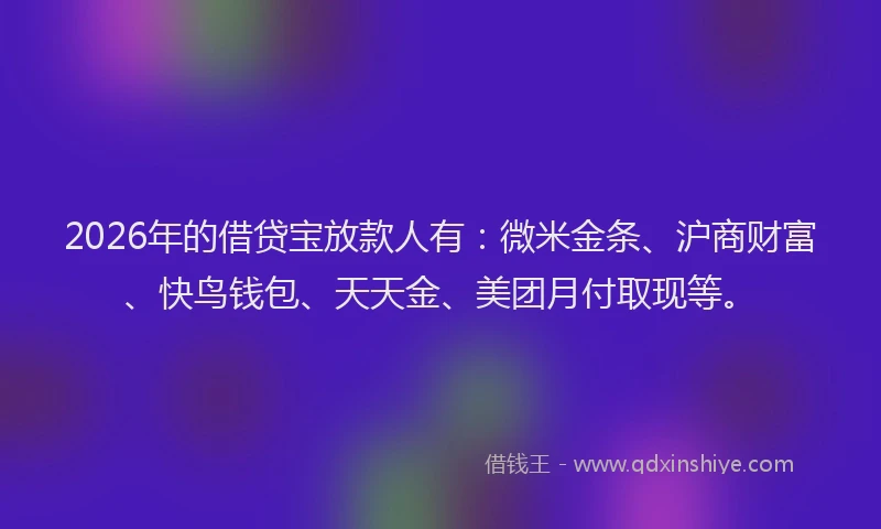 2026年的借贷宝放款人有：微米金条、沪商财富、快鸟钱包、天天金、美团月付取现等。