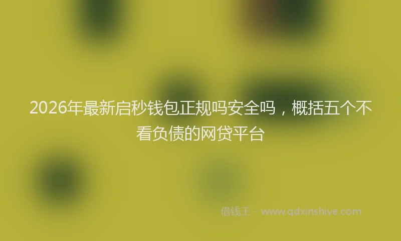2026年最新启秒钱包正规吗安全吗，概括五个不看负债的网贷平台