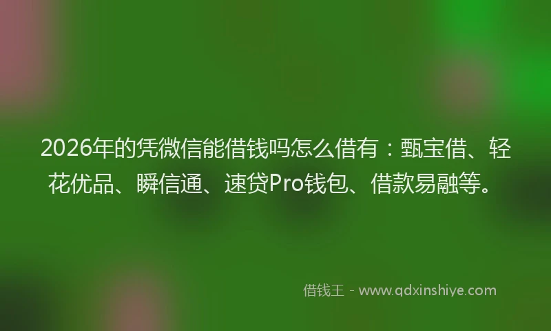 2026年的凭微信能借钱吗怎么借有:甄宝借、轻花优品、瞬信通、速贷Pro钱包、借款易融等。