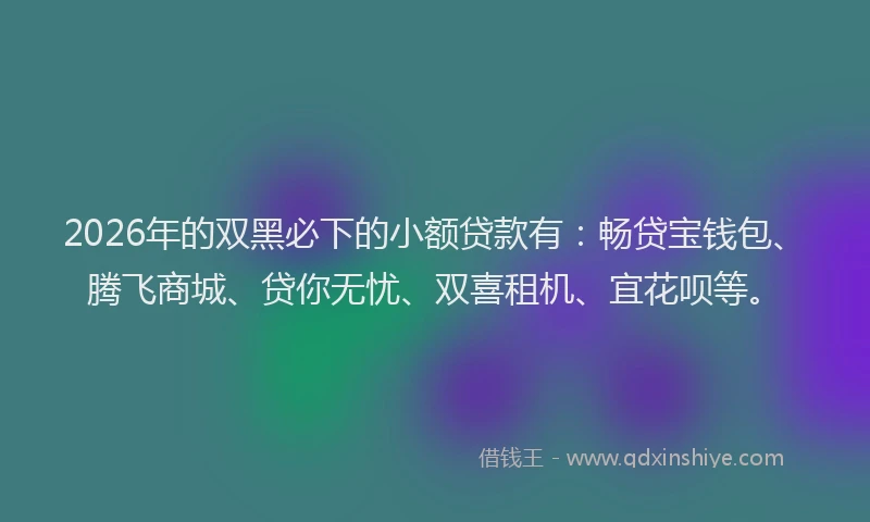 2026年的双黑必下的小额贷款有:畅贷宝钱包、腾飞商城、贷你无忧、双喜租机、宜花呗等。