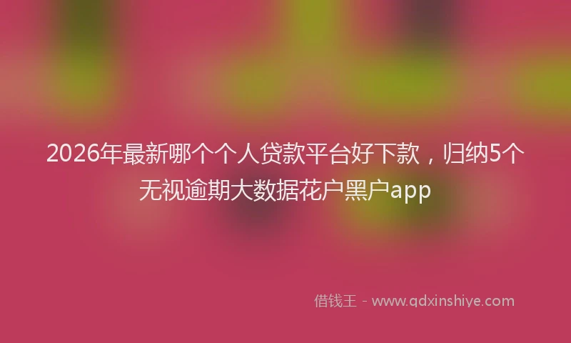 2026年最新哪个个人贷款平台好下款，归纳5个无视逾期大数据花户黑户app