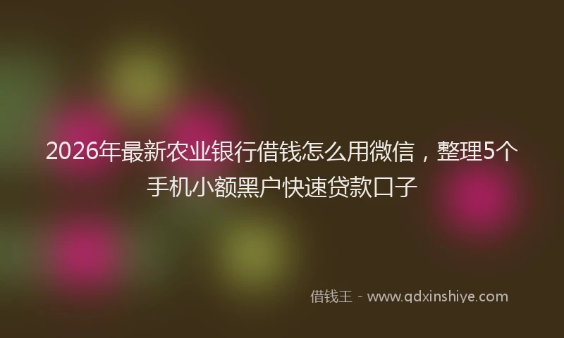 2026年最新农业银行借钱怎么用微信，整理5个手机小额黑户快速贷款口子