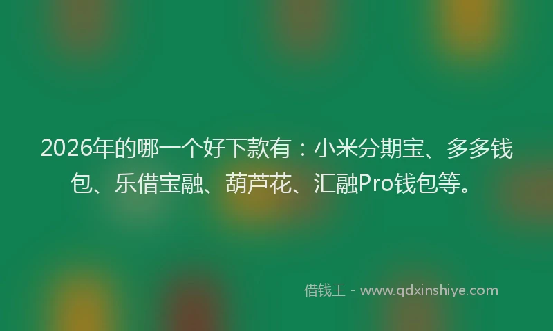 2026年的哪一个好下款有：小米分期宝、多多钱包、乐借宝融、葫芦花、汇融Pro钱包等。