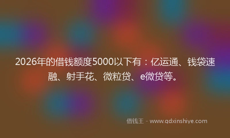 2026年的借钱额度5000以下有：亿运通、钱袋速融、射手花、微粒贷、e微贷等。