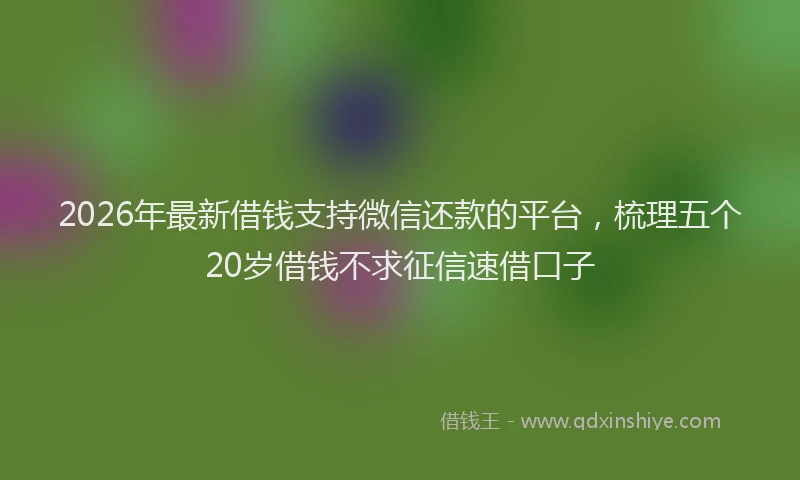 2026年最新借钱支持微信还款的平台，梳理五个20岁借钱不求征信速借口子