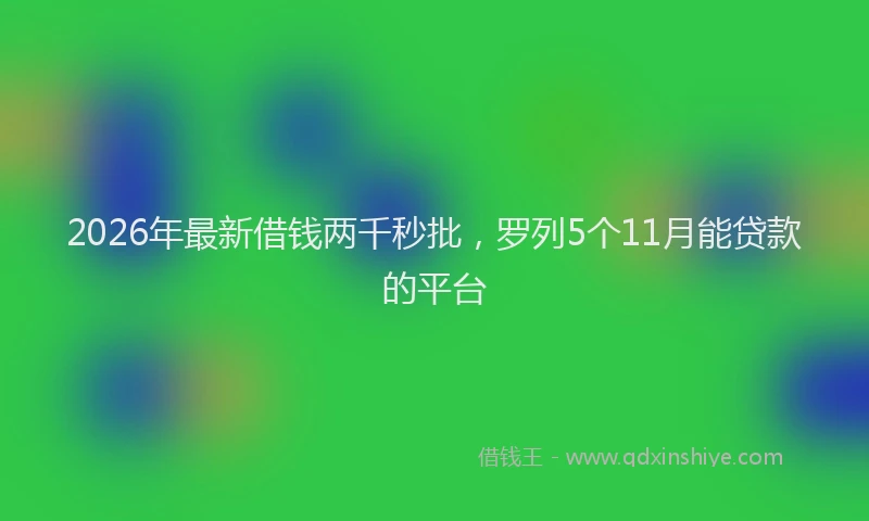 2026年最新借钱两千秒批，罗列5个11月能贷款的平台