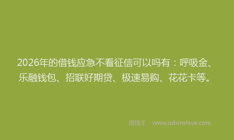 2026年的借钱应急不看征信可以吗有：呼吸金、乐融钱包、招联好期贷、极速易购、花花卡等。
