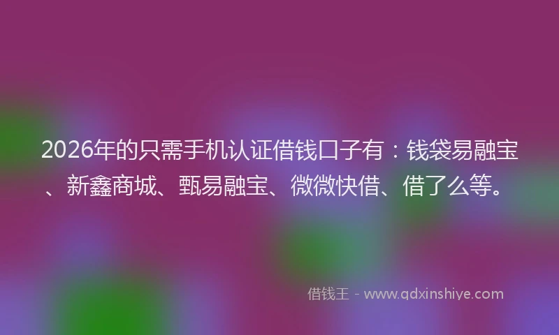 2026年的只需手机认证借钱口子有:钱袋易融宝、新鑫商城、甄易融宝、微微快借、借了么等。