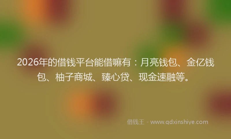 2026年的借钱平台能借嘛有:月亮钱包、金亿钱包、柚子商城、臻心贷、现金速融等。