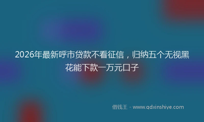 2026年最新呼市贷款不看征信，归纳五个无视黑花能下款一万元口子