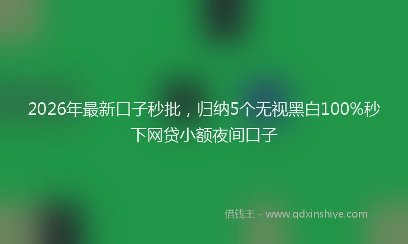 2026年最新口子秒批，归纳5个无视黑白100%秒下网贷小额夜间口子