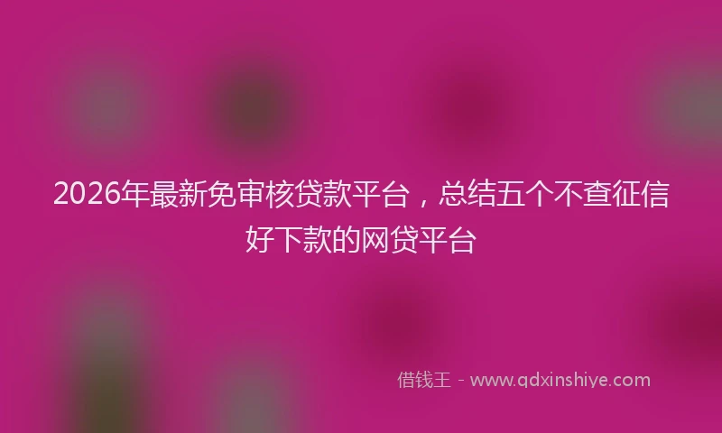 2026年最新免审核贷款平台,总结五个不查征信好下款的网贷平台