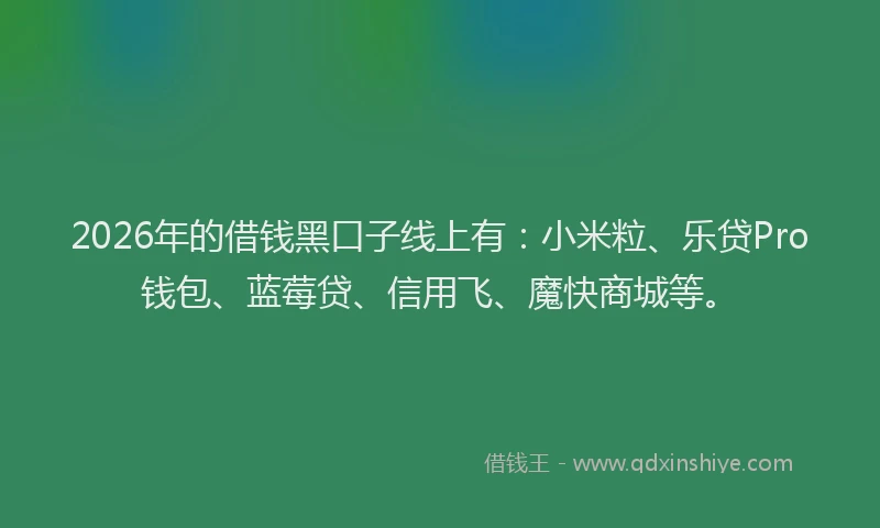 2026年的借钱黑口子线上有：小米粒、乐贷Pro钱包、蓝莓贷、信用飞、魔快商城等。