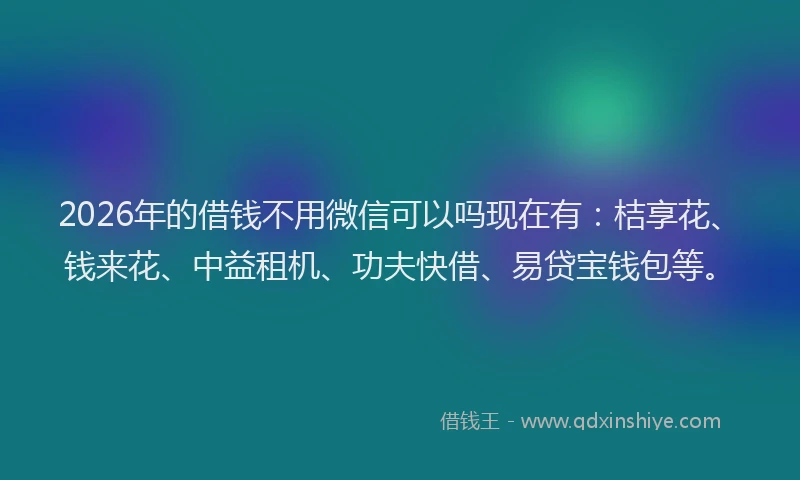 2026年的借钱不用微信可以吗现在有：桔享花、钱来花、中益租机、功夫快借、易贷宝钱包等。