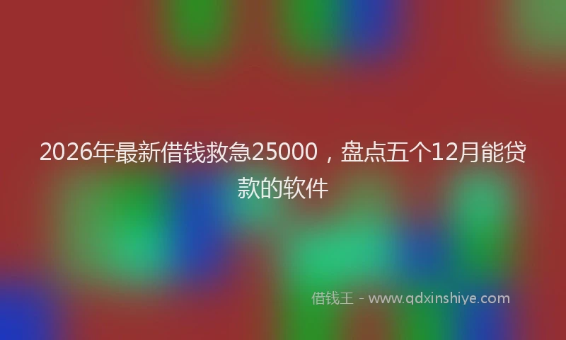 2026年最新借钱救急25000，盘点五个12月能贷款的软件