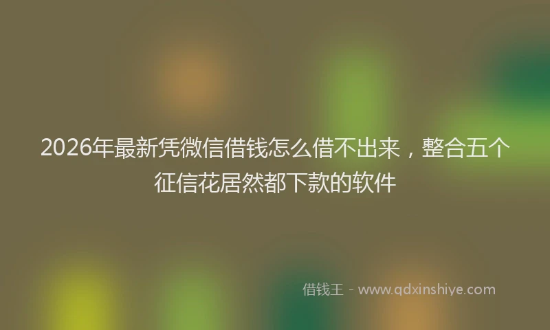 2026年最新凭微信借钱怎么借不出来，整合五个征信花居然都下款的软件