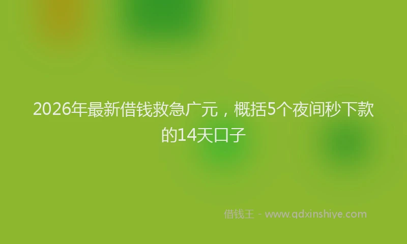 2026年最新借钱救急广元，概括5个夜间秒下款的14天口子