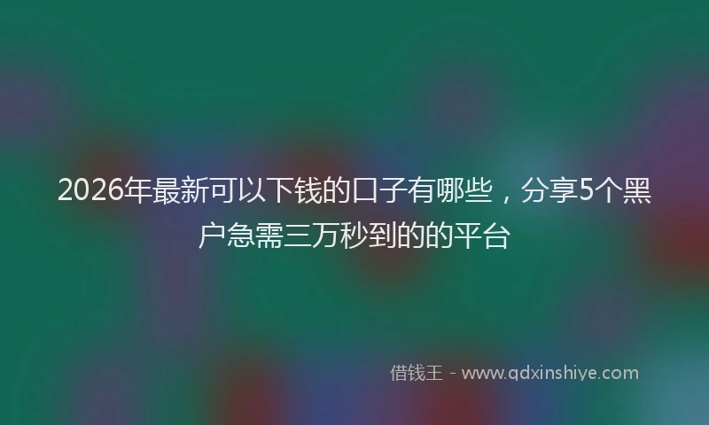 2026年最新可以下钱的口子有哪些,分享5个黑户急需三万秒到的的平台