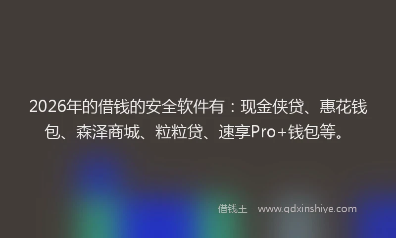 2026年的借钱的安全软件有:现金侠贷、惠花钱包、森泽商城、粒粒贷、速享Pro+钱包等。
