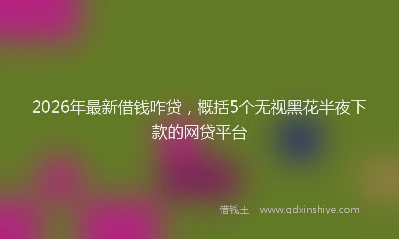 2026年最新借钱咋贷,概括5个无视黑花半夜下款的网贷平台