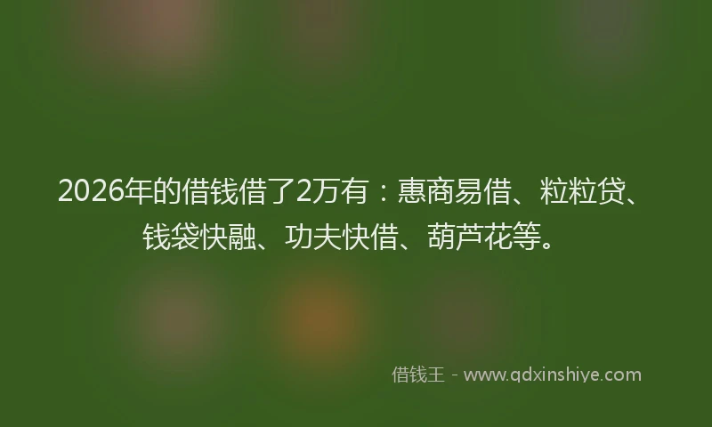 2026年的借钱借了2万有:惠商易借、粒粒贷、钱袋快融、功夫快借、葫芦花等。
