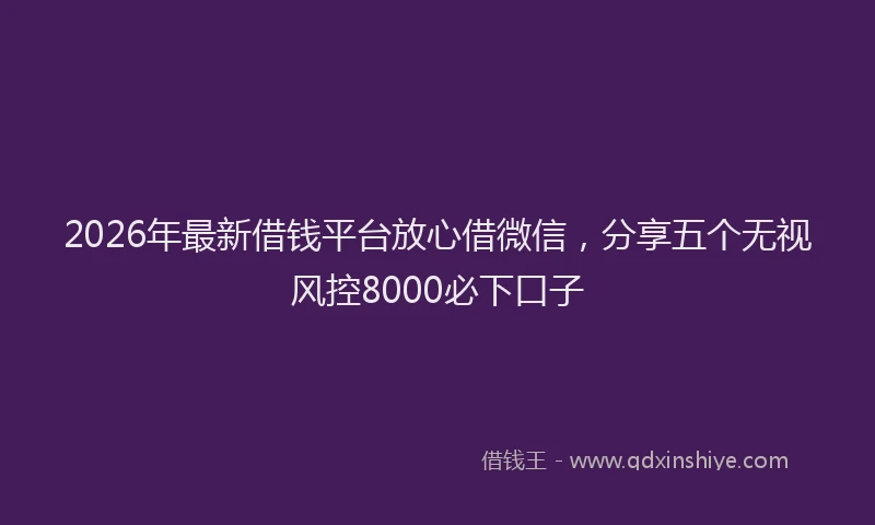 2026年最新借钱平台放心借微信,分享五个无视风控8000必下口子