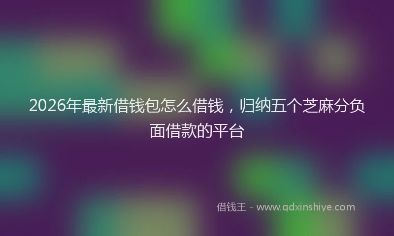 2026年最新借钱包怎么借钱，归纳五个芝麻分负面借款的平台
