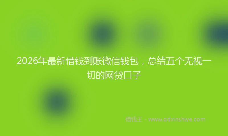 2026年最新借钱到账微信钱包,总结五个无视一切的网贷口子
