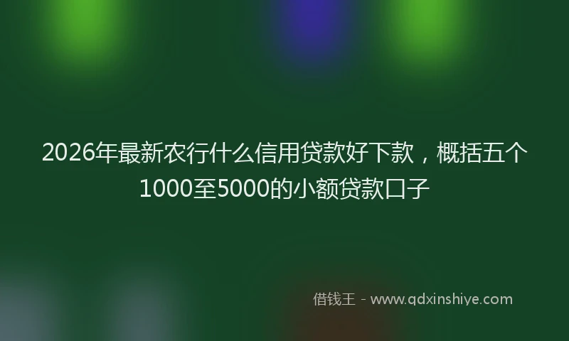 2026年最新农行什么信用贷款好下款,概括五个1000至5000的小额贷款口子