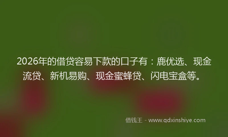 2026年的借贷容易下款的口子有：鹿优选、现金流贷、新机易购、现金蜜蜂贷、闪电宝盒等。