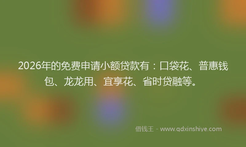 2026年的免费申请小额贷款有：口袋花、普惠钱包、龙龙用、宜享花、省时贷融等。
