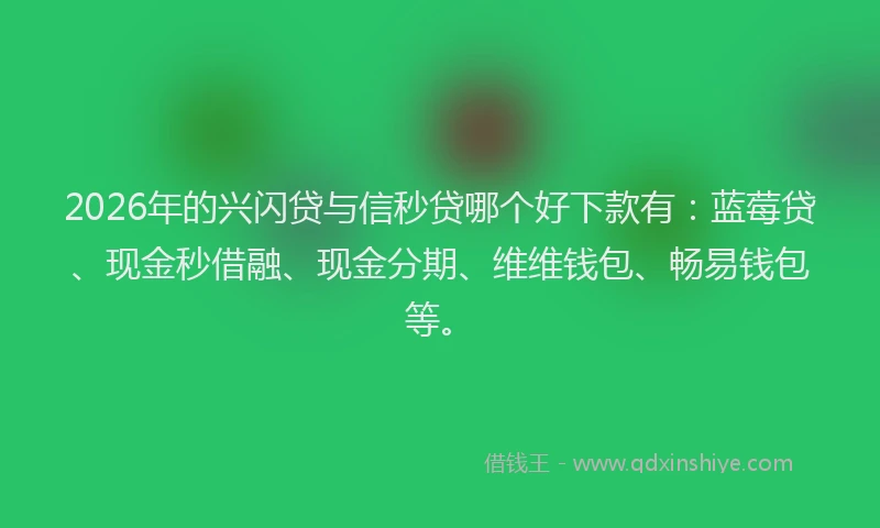 2026年的兴闪贷与信秒贷哪个好下款有：蓝莓贷、现金秒借融、现金分期、维维钱包、畅易钱包等。