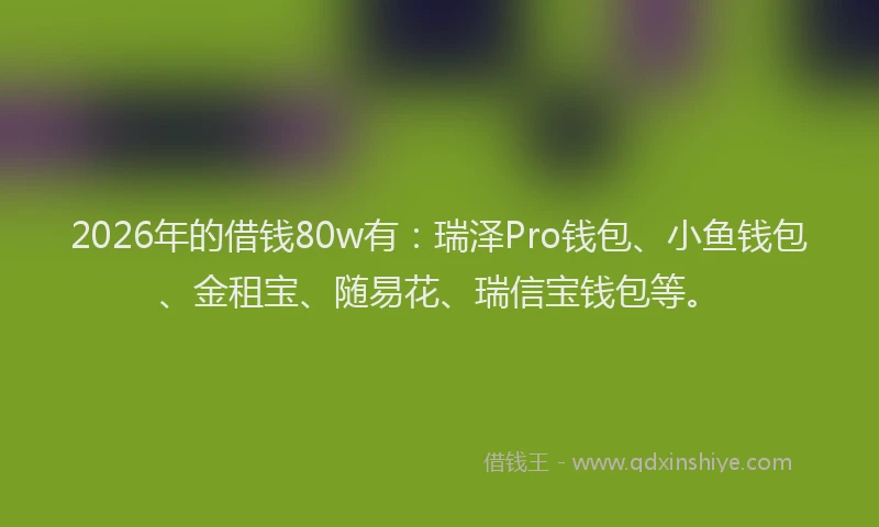 2026年的借钱80w有:瑞泽Pro钱包、小鱼钱包、金租宝、随易花、瑞信宝钱包等。