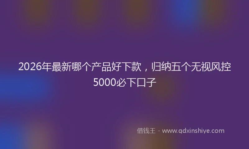 2026年最新哪个产品好下款，归纳五个无视风控5000必下口子