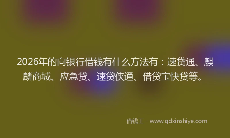 2026年的向银行借钱有什么方法有：速贷通、麒麟商城、应急贷、速贷侠通、借贷宝快贷等。
