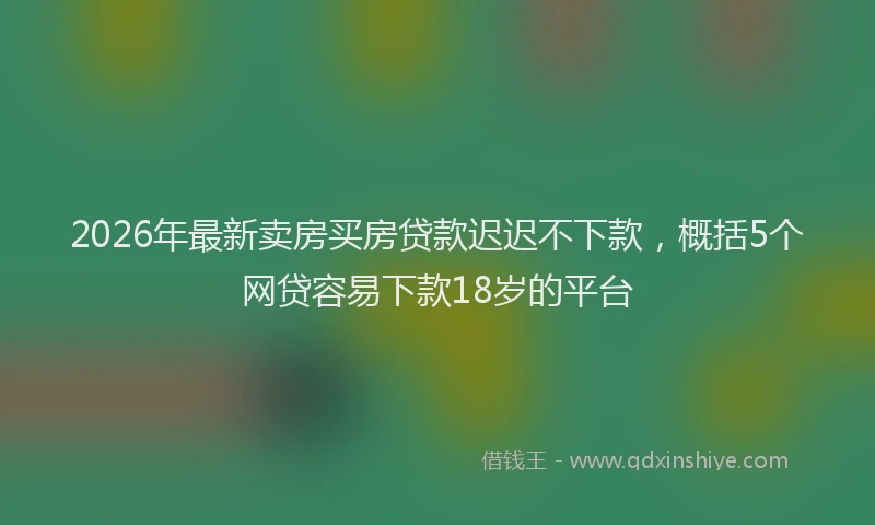 2026年最新卖房买房贷款迟迟不下款，概括5个网贷容易下款18岁的平台