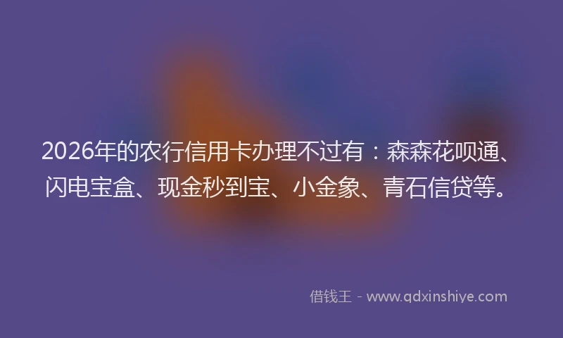 2026年的农行信用卡办理不过有:森森花呗通、闪电宝盒、现金秒到宝、小金象、青石信贷等。